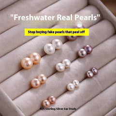 Light Luxury And High Female Pearl Earrings